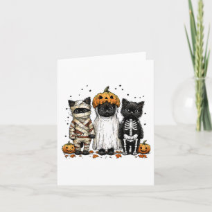 Funny Three Halloween Cats