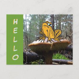 Funny Toad Cartoon auf Toadstool HELLO Postcard Postkarte