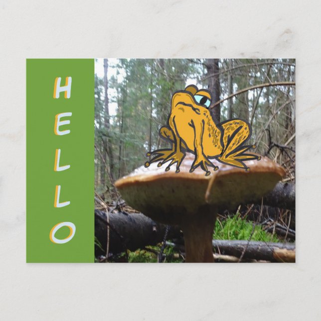 Funny Toad Cartoon auf Toadstool HELLO Postcard Postkarte (Vorderseite)