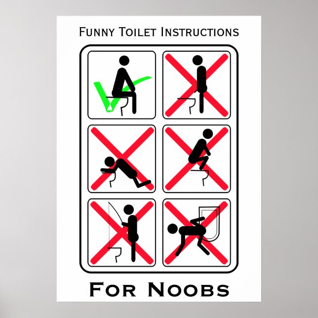 Funny Toilet Instructions White Poster (Vorne)