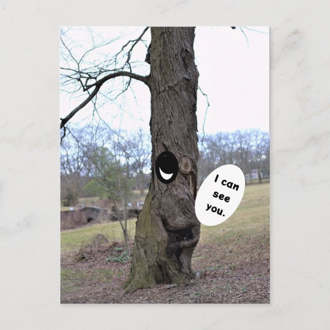 Funny Tree Foto Postcard Postkarte (Vorderseite)