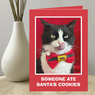 Funny Tuxedo Carte de Noël de chat