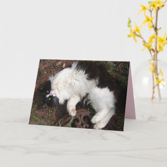 Funny Tuxedo Chat Bonne Carte de voeux d'anniversa (Fleur jaune)