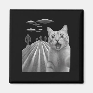 Funny überraschend beängstigend Katze Selfie mit B Magnet