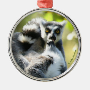 Funny überraschend Lemurs von Madagaskar Ornament Aus Metall