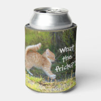 Funny Überraschte Katze. Was für ein Fregal?