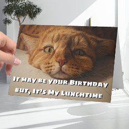 Funny und humorvolle Cat Lovers Joke Happy Birthda Karte