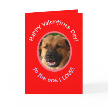 Funny Valentine vom Hund bis zum Besitzer Fotokart