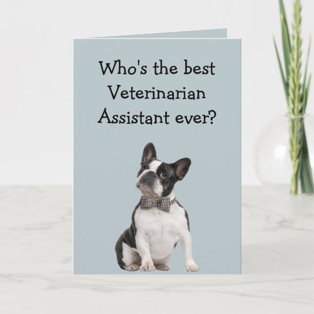 Funny Veterinarian Asst Thank You  Boston Terrier Karte (Vorderseite)