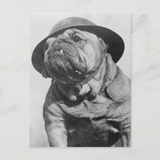 Funny Vintag Dog Wear Militärhelm Postkarte