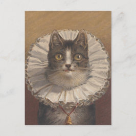 Funny Vintag Edwardian Cat Postcard Postkarte