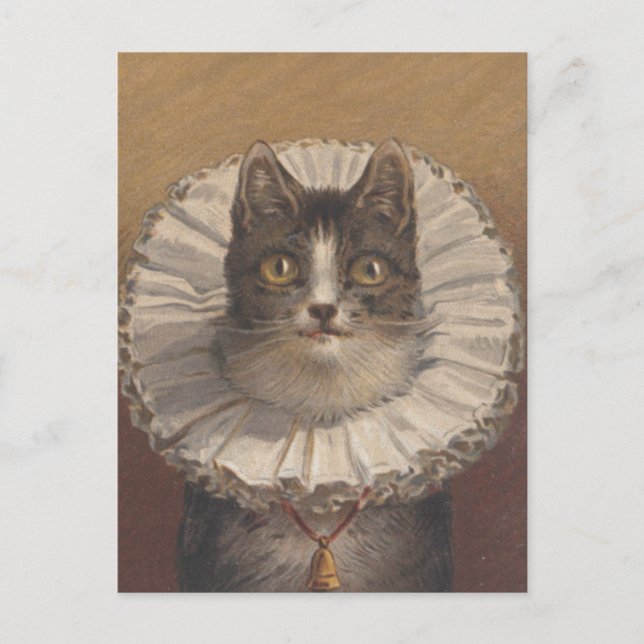 Funny Vintag Edwardian Cat Postcard Postkarte (Vorderseite)