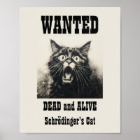Funny Vintag Gewollt Poster Schrödingers Katze