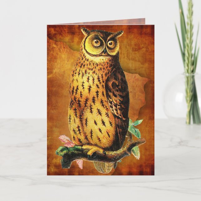 Funny Vintag Owl Birthday Card Karte (Vorderseite)