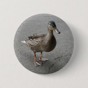 Funny Waddling Duck Button