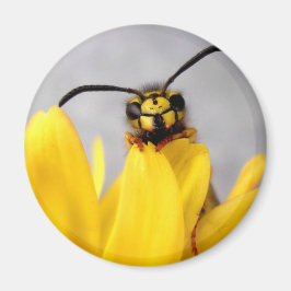 Funny Wasp Buttons Magnet