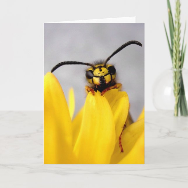 Funny Wasp Greeting Card Karte (Vorderseite)