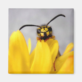 Funny Wasp Magnet