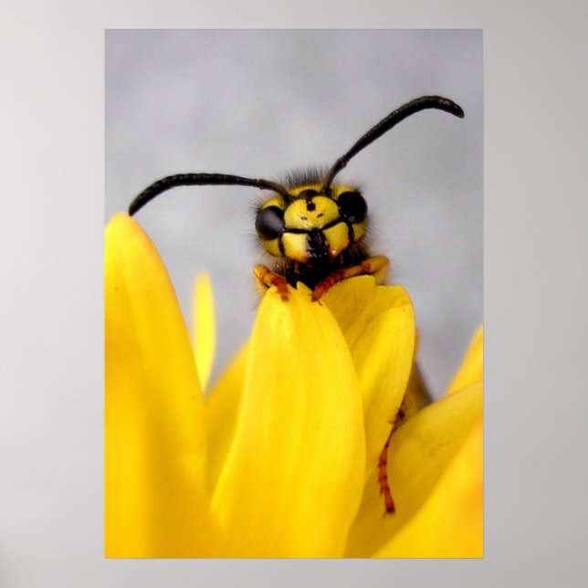 Funny Wasp Posters Poster (Vorne)