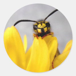 Funny Wasp Runder Aufkleber
