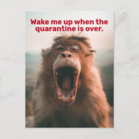 Funny Weckte mich auf, wenn die Quarantäne vorbei 