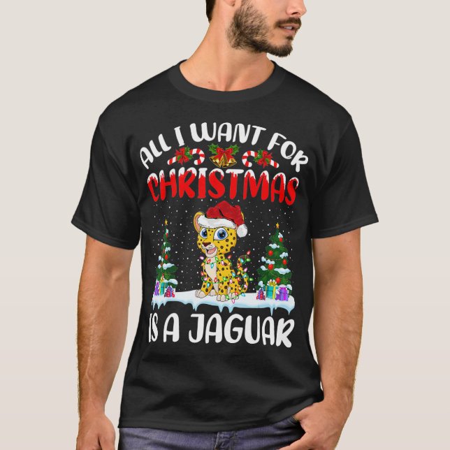 Funny Weihnachtsmannmütze Alles, was ich zu Weihna T-Shirt (Vorderseite)