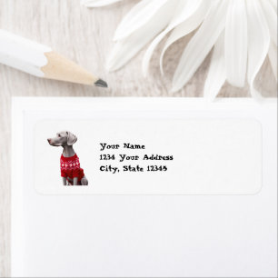 Funny Weimaraner in Weihnachts-Sweater-Adresse