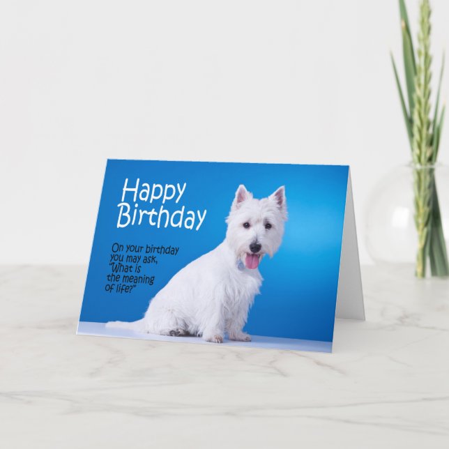 Funny Westie Carte d'anniversaire (Devant)