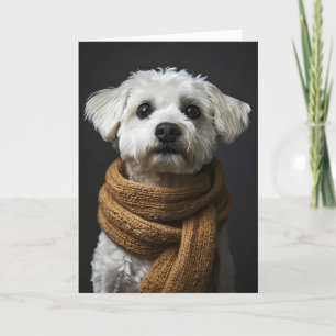 Funny White Dog Scarf Feiertagskarte