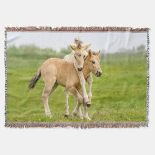Funny Wild Konik Pferde Foals Playing Together Decke