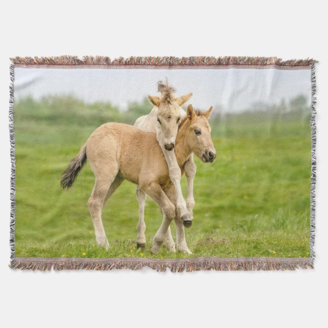 Funny Wild Konik Pferde Foals Playing Together Decke (Vorderseite)