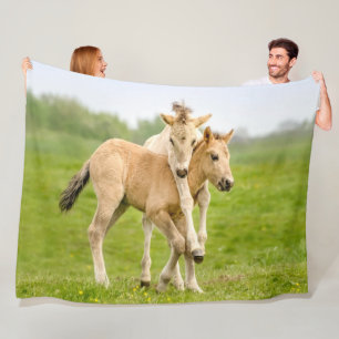 Funny Wild Konik Pferde Foals Playing Together Fleecedecke