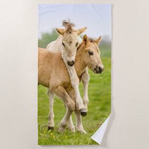 Funny Wild Konik Pferde Foals Playing Together Strandtuch