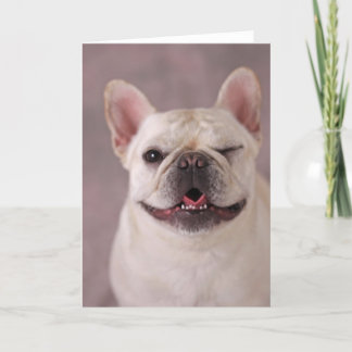 Funny winde Hund French Bulldog Karte