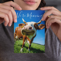 Funny, wir bewegen uns bewegende Ankündigung Kuh