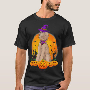 Funny Witch Hat Pumpkin Poodle Halloween T-Shirt