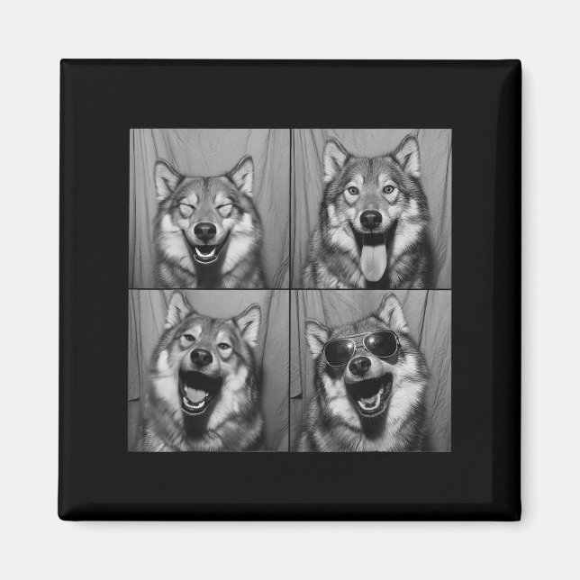 Funny Wolf Photo Booth Sungles Dog  Magnet (Vorne)