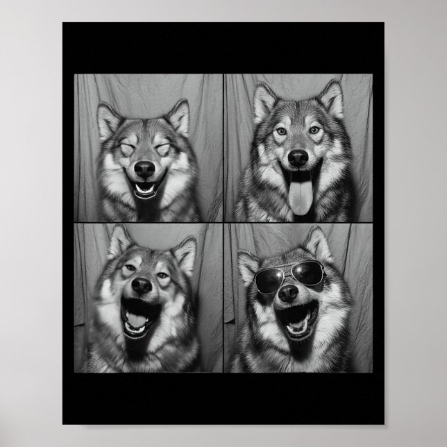 Funny Wolf Photo Booth Sungles Dog  Poster (Vorne)