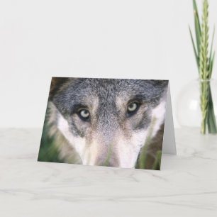 Funny Wolf Up Fermer carte d'anniversaire