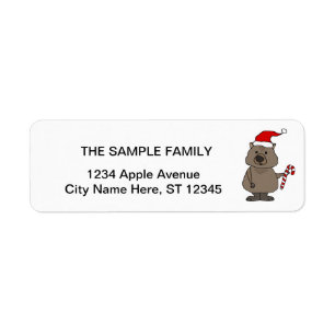 Funny Wombat in der Weihnachtsmannmütze Weihnachte
