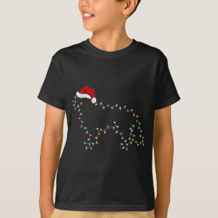 Funny Xmas Licht Weihnachtsmannmütze Border Collie T-Shirt