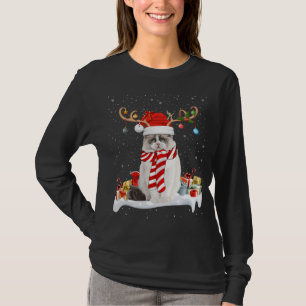 Funny Xmas Lighting Rentier Weihnachtsmannmütze Ra T-Shirt