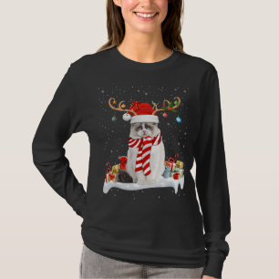 Funny Xmas Lighting Rentier Weihnachtsmannmütze Ra T-Shirt