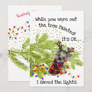 Funny Yorkshire Terrier Rettete Weihnachten