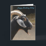 Funny "You old ziat" Happy Birthday Card Karte<br><div class="desc">Ideal für Freunde oder Familie mit einem guten Spaß,  diese Karte ist sicher ein echter Hit! Auf der Vorderseite der Karte abgebildet ist eine Ziege. " Herzlichen Glückwunsch zum Geburtstag. Du alte Ziege!" Ist die vollständige Meldung auf dieser Karte.</div>