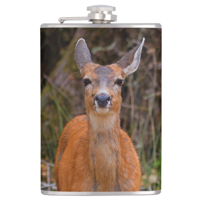 Funny Young Blacktail Deer lächelt bei Fotograf Flachmann (Vorderseite)
