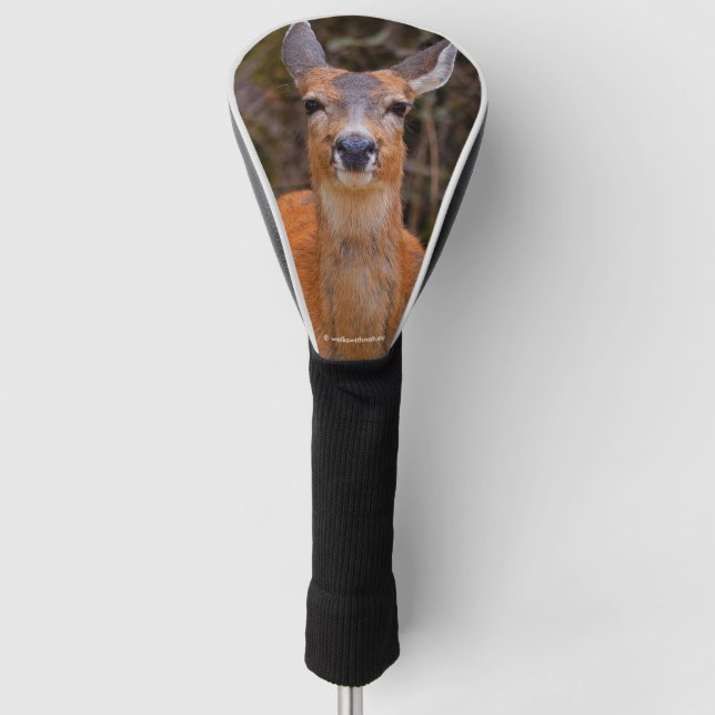 Funny Young Blacktail Deer lächelt bei Fotograf Golf Headcover (Vorderseite)