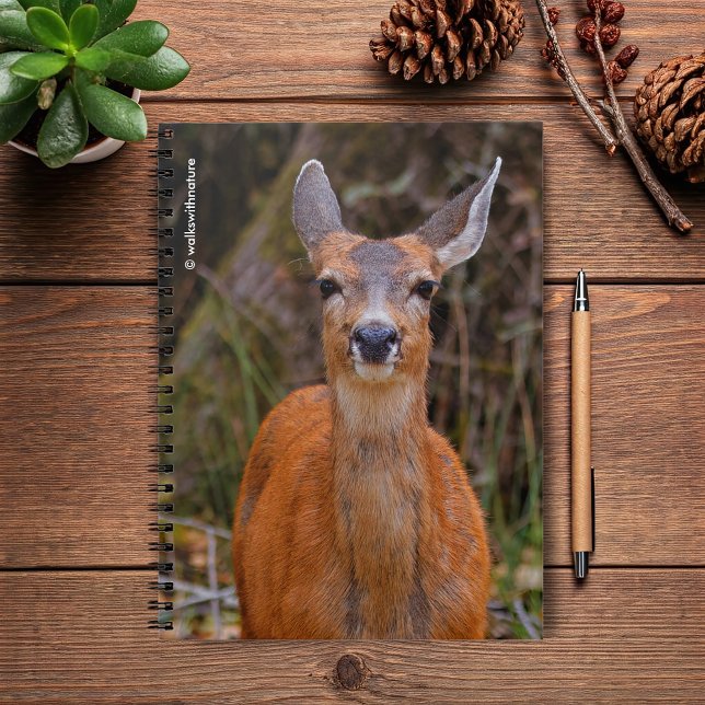 Funny Young Blacktail Deer lächelt bei Fotograf Notizblock (Young Blacktail Deer Stares at the Photographer Journal Cover Photo)