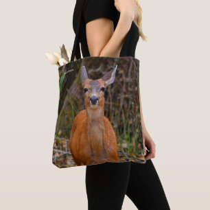 Funny Young Blacktail Deer lächelt bei Fotograf Tasche