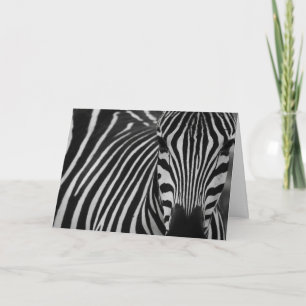 Funny Zebra Geburtstag Gruß Karte
